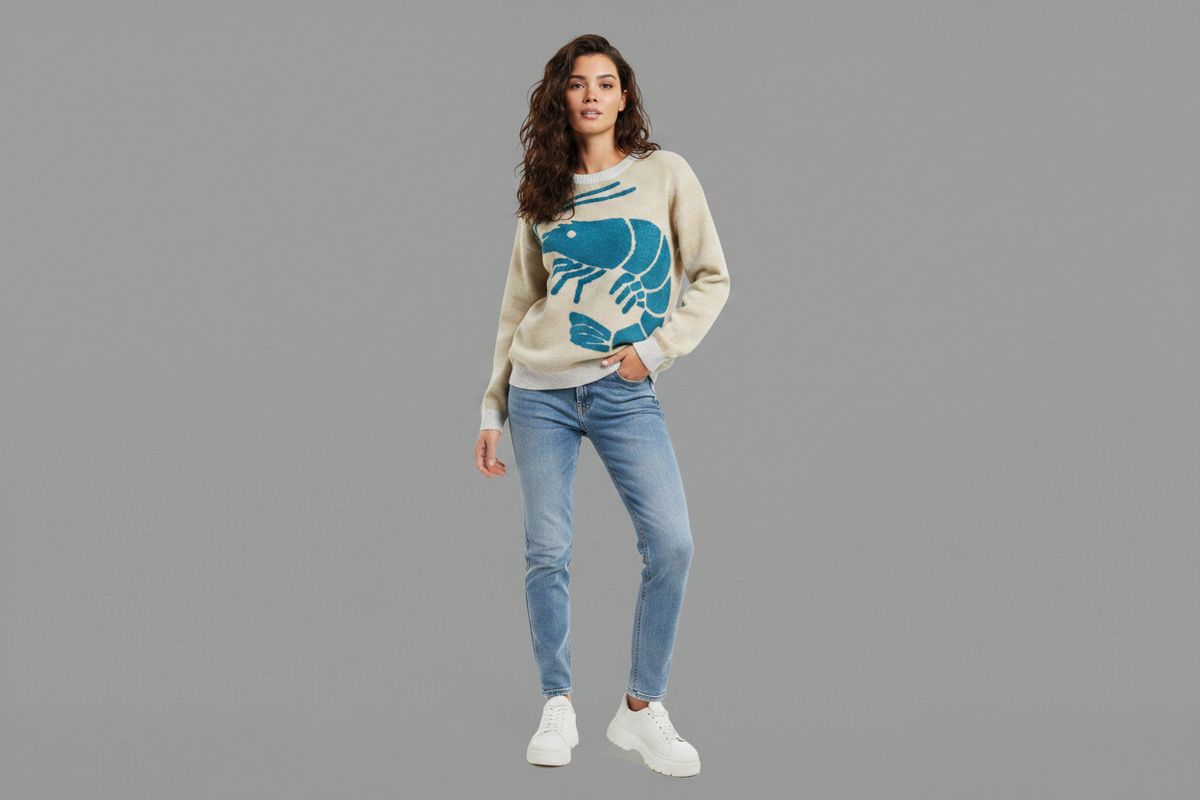 Shrimp Sweater No Background